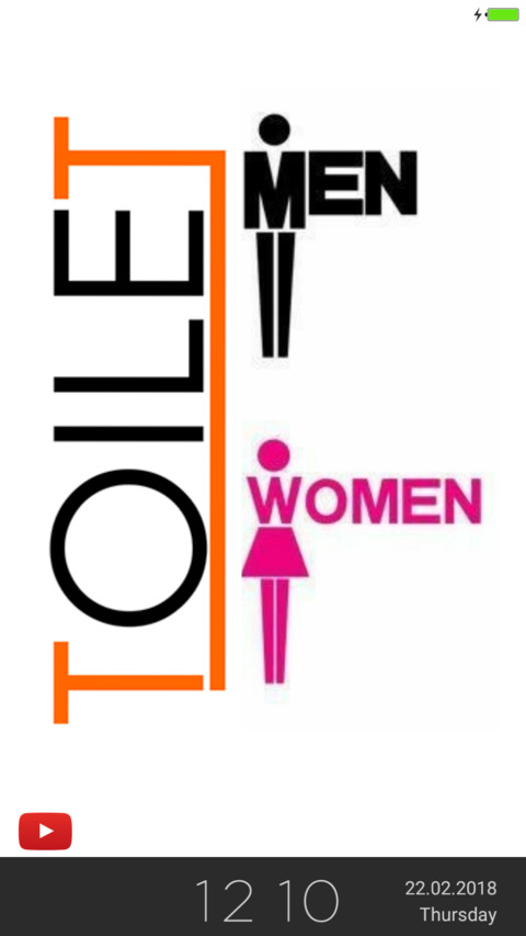 TOILET NY preview