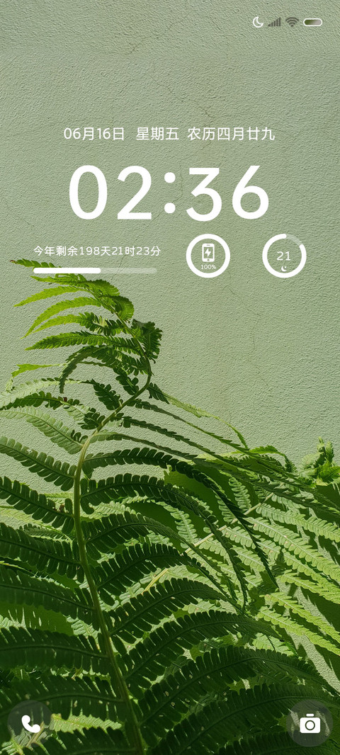 简约 向阳生长 preview
