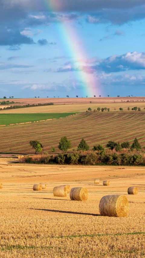Harvest time in Burgenland Kriesch preview