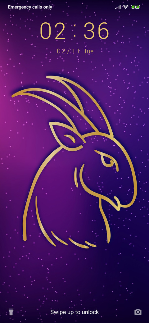 Capricorn_3MDP preview