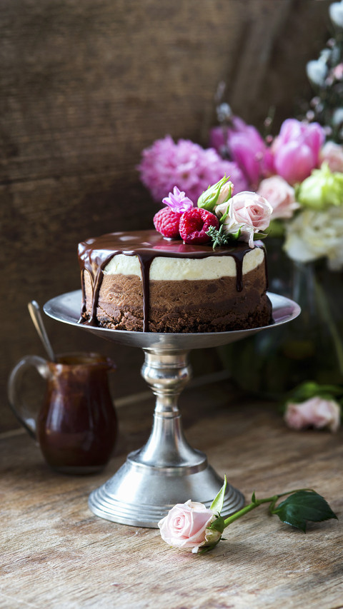 Chocolate cake that heals everything 15 preview