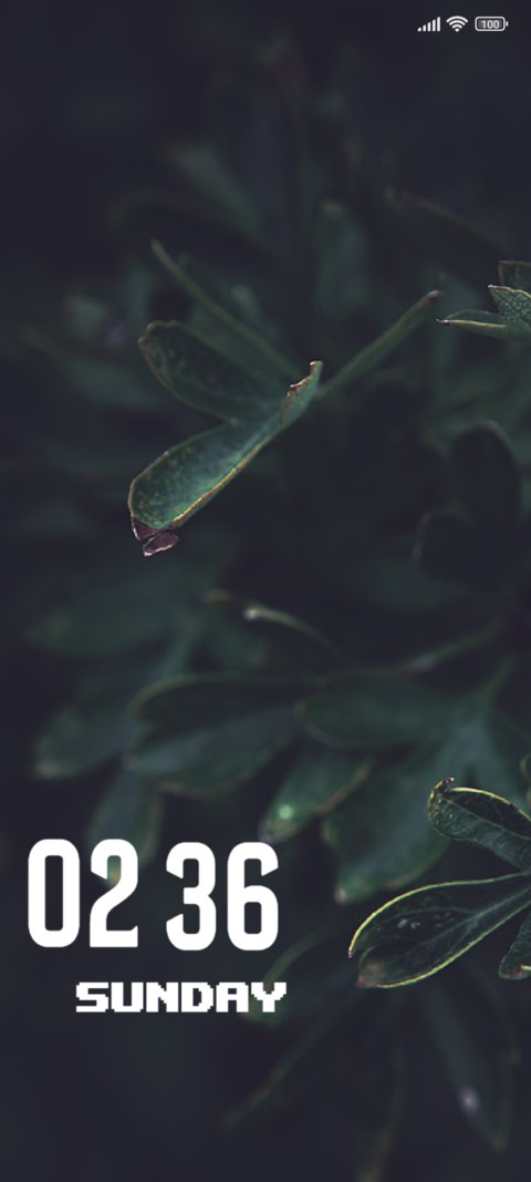 Leaf preview