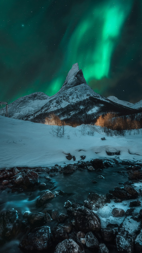 Secret collection of observing Aurora 58 preview