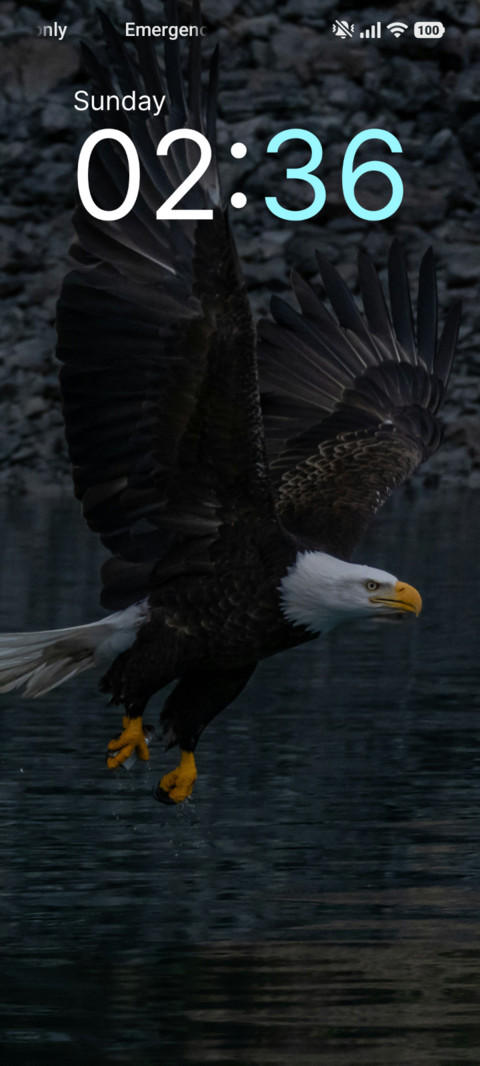 Freedom Glide preview
