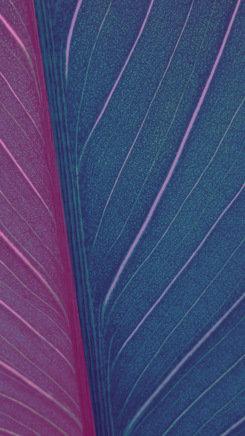 Art Wallpapers-10 preview