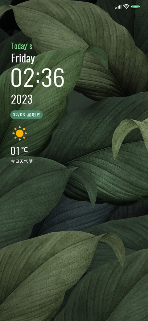 深林绿野 preview
