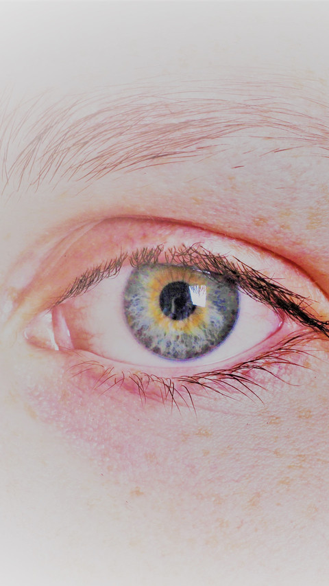 2 preview