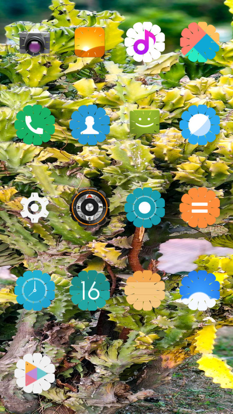 CactusFlower_DWM2 preview