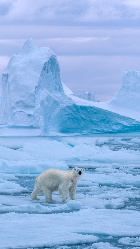 VCG211292998682 preview