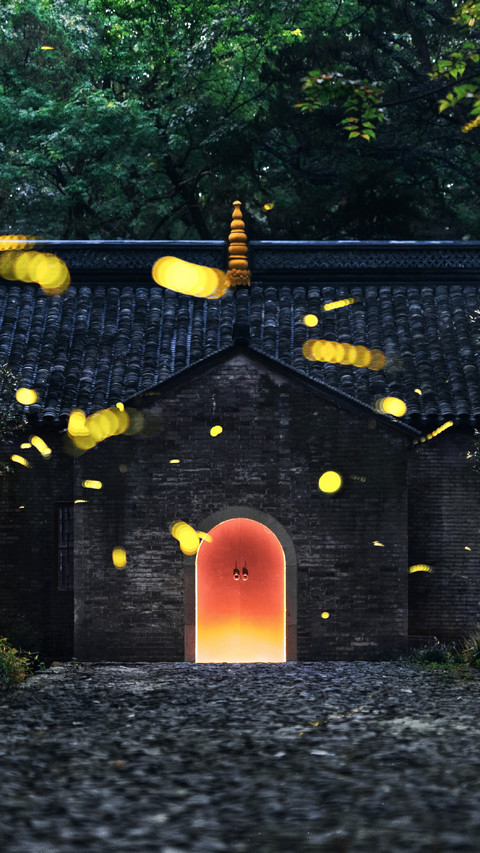 南京灵谷寺萤火虫之夜 preview