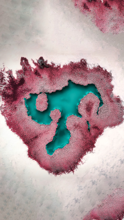 The heart of the salt lake preview