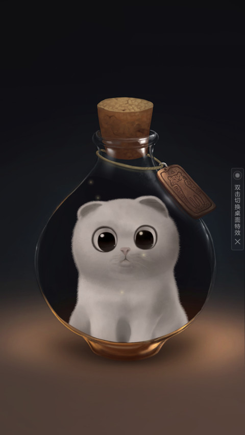 特别的猫 preview