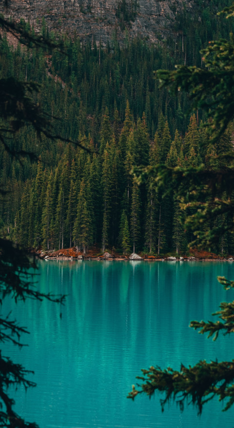 Adventure in Nature (44) preview