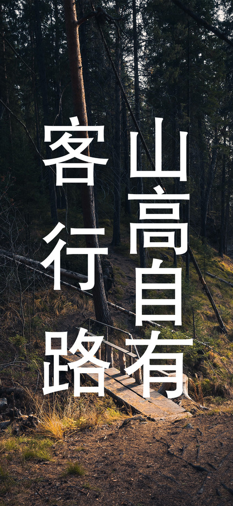山高自有客行路 preview