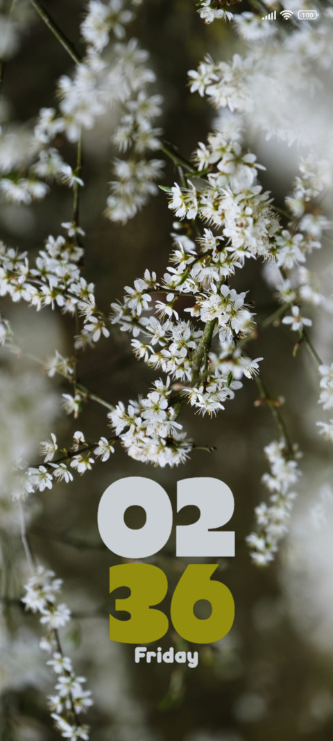 Tree Blossoms preview