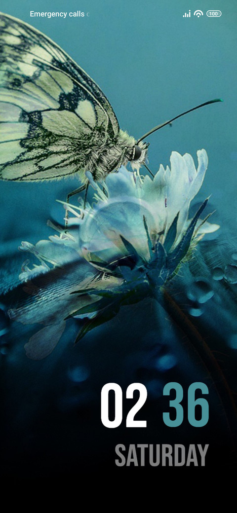 Butterfly Flower preview