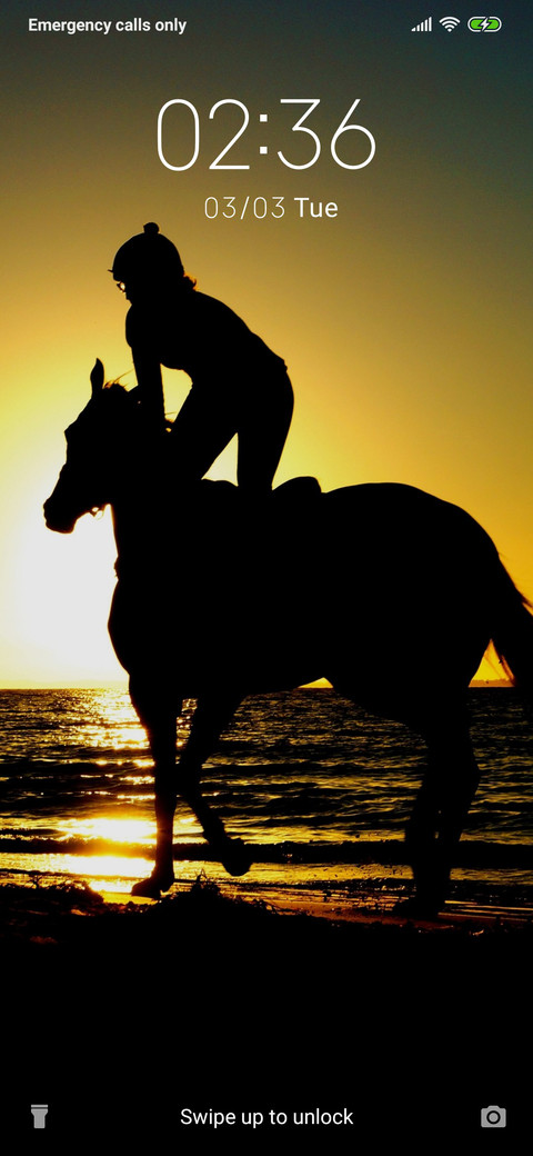 Horse Rider_3MDS preview