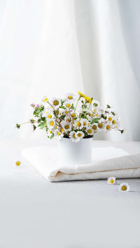 Concept of cozy home decor with wild daisy flowers preview