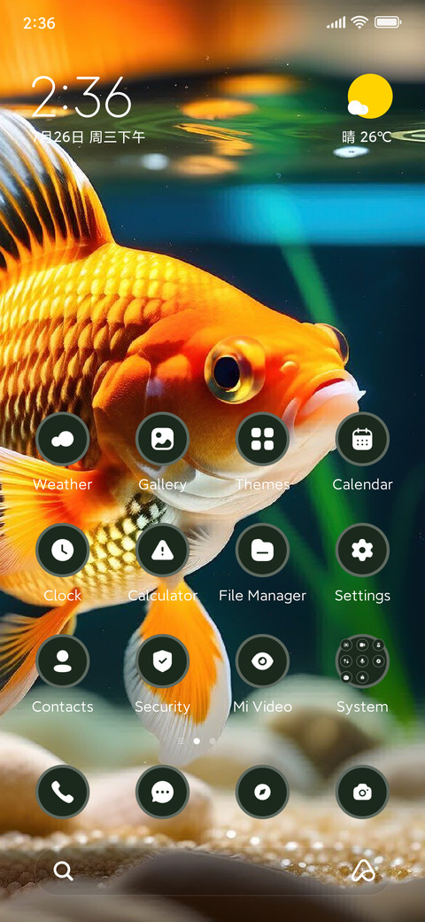 Golden Fish preview