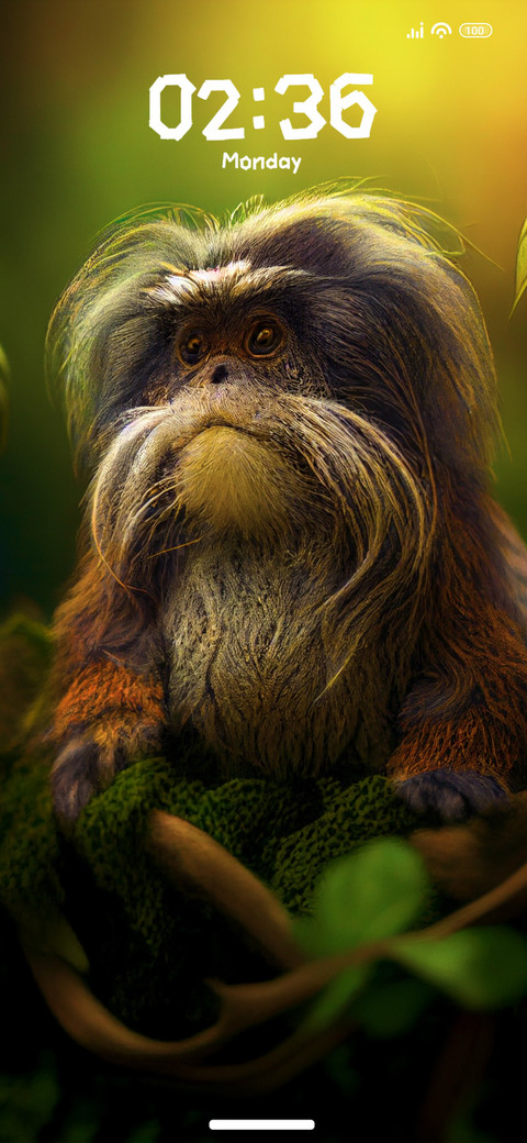 Tamarin Monkey preview
