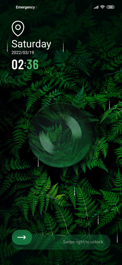 Forest preview