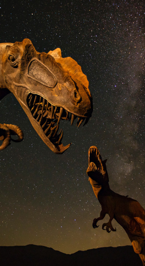 Dinosaur (4) preview