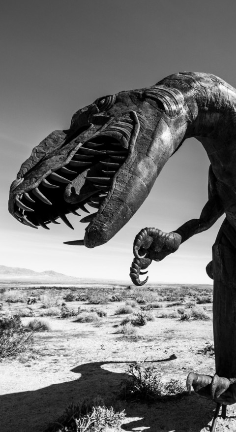 Dinosaur (8) preview