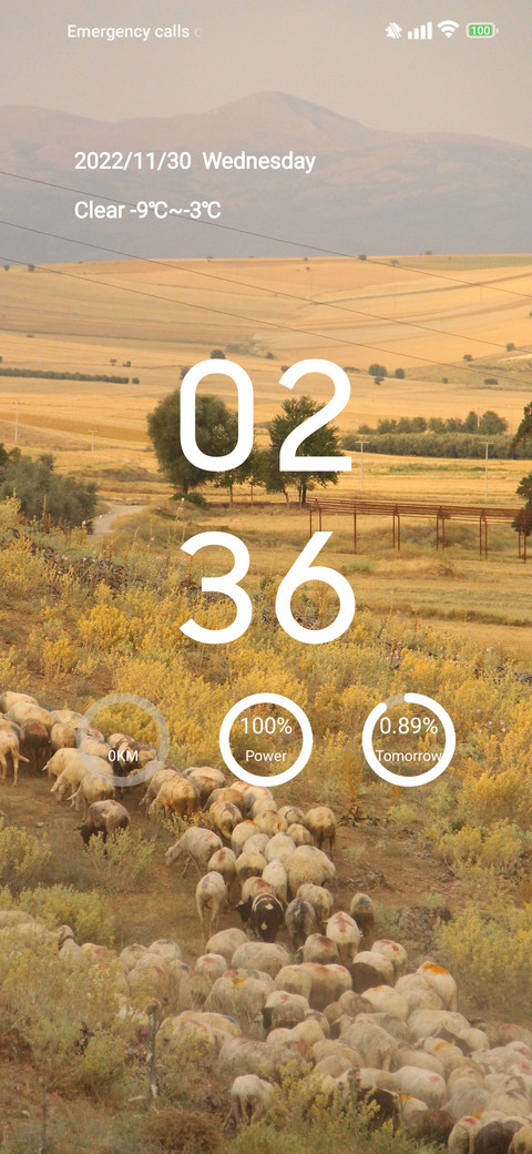 lamb preview