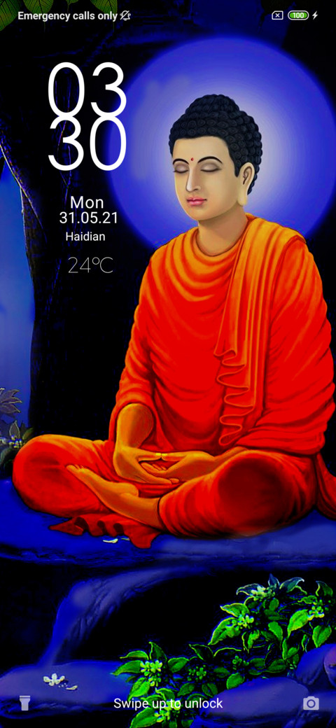 Buddha preview