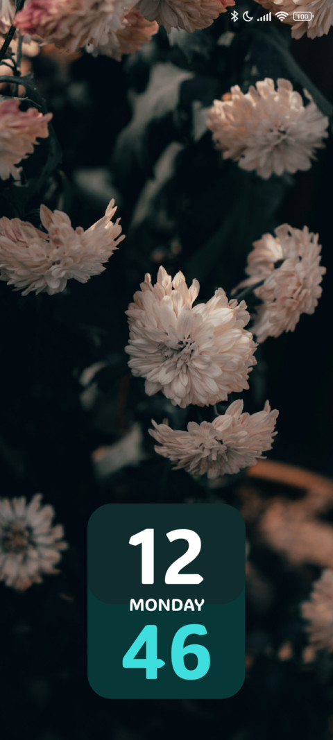 Soft Petals preview