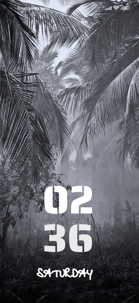 Jungle preview