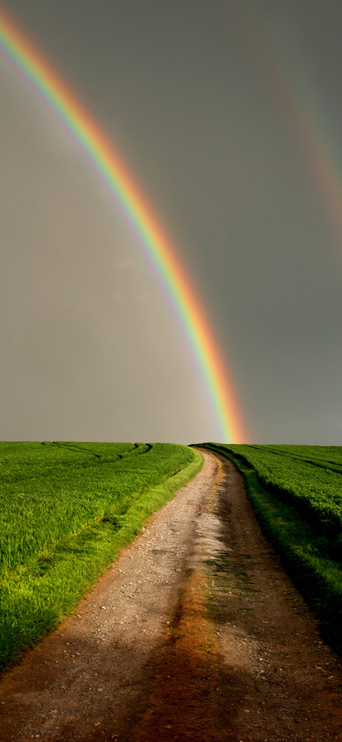 The Rainbow after the rain-PAIXIN preview
