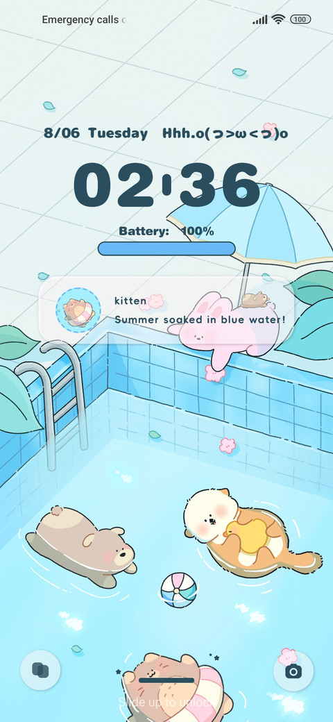 Swimming Pool preview