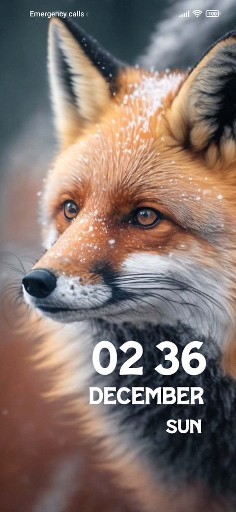 Snowy fox preview