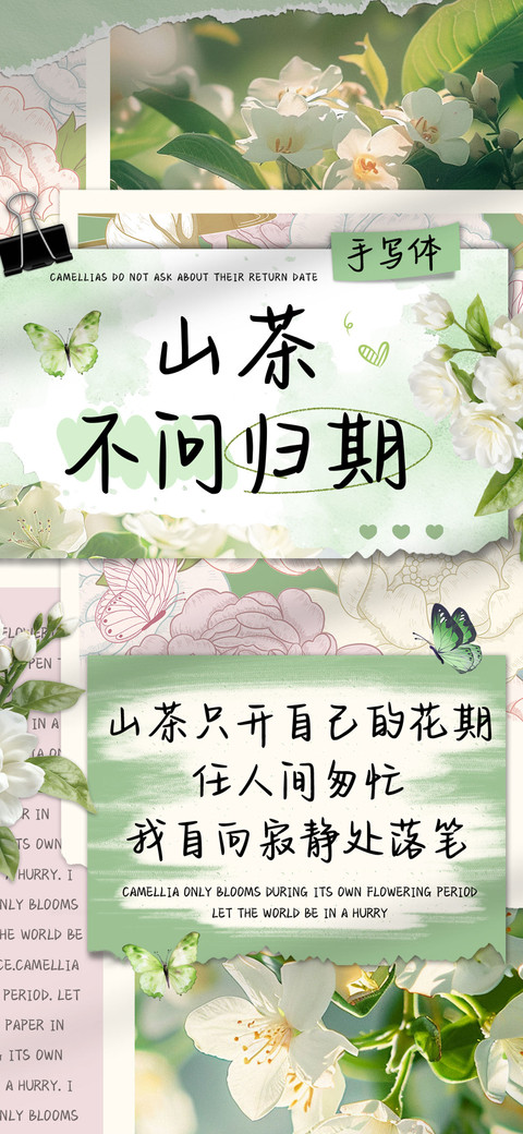 山茶不问归期手写体 preview