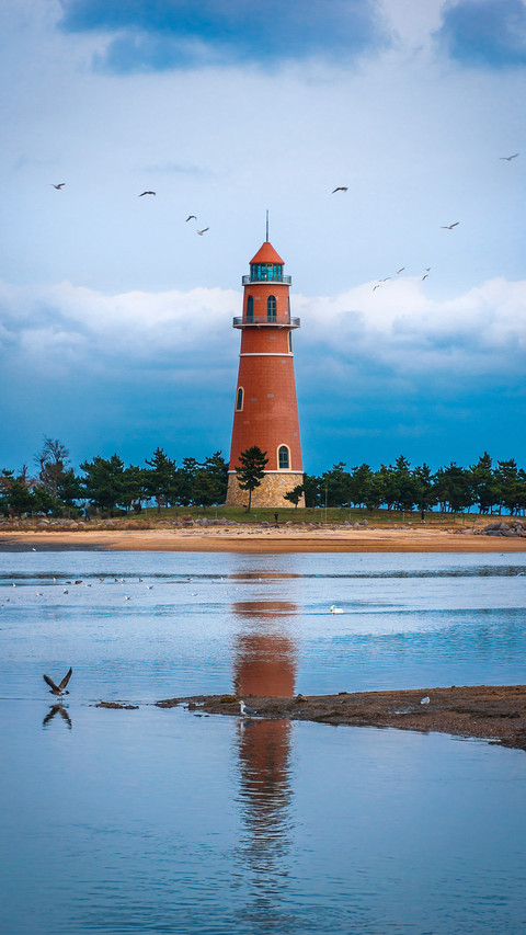 Seagulls by the sea and lighthouse preview