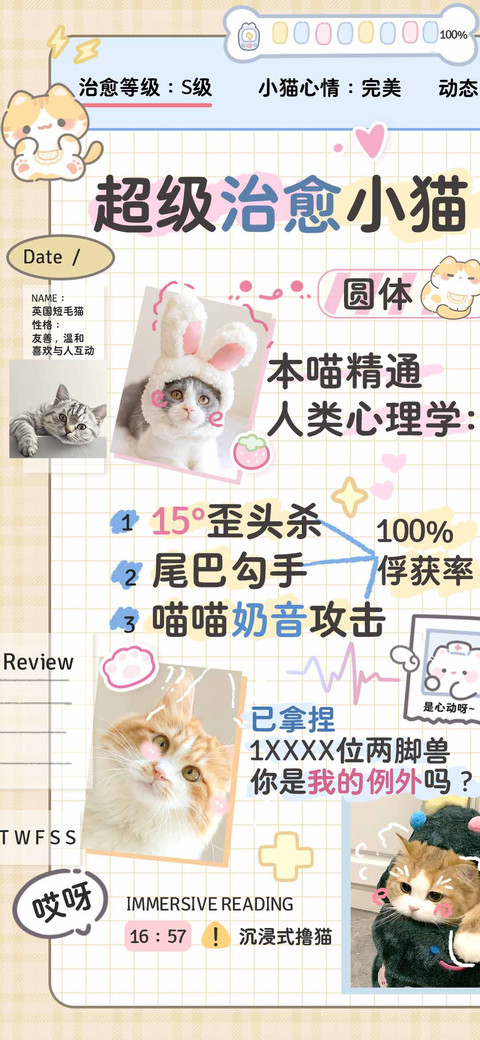 超级治愈小猫圆体 preview