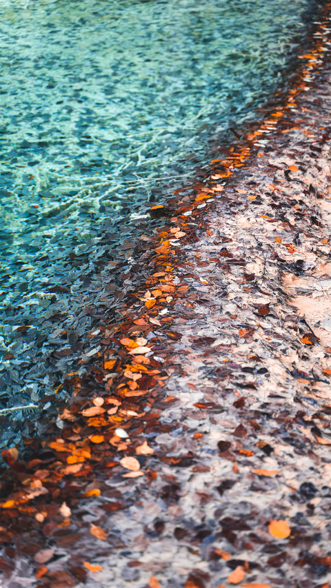 Clear pool water and fallen leaves preview