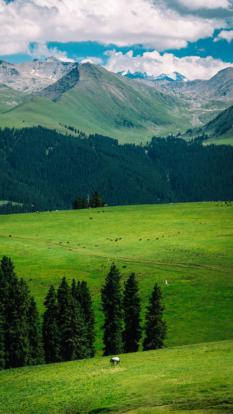 Head to the hidden mountains and wilds of xinjiang 2 preview