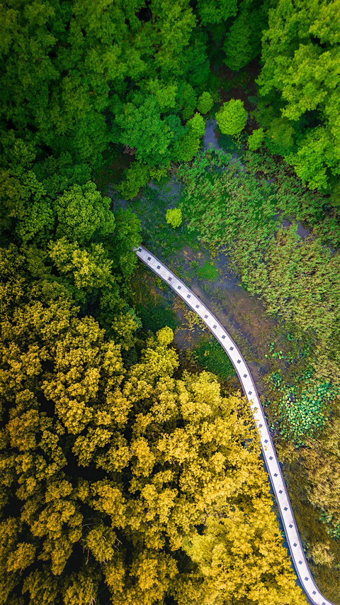 Chunqiu road preview