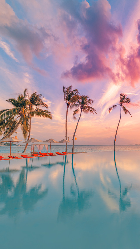 Beautiful poolside and sunset sky with palm trees preview