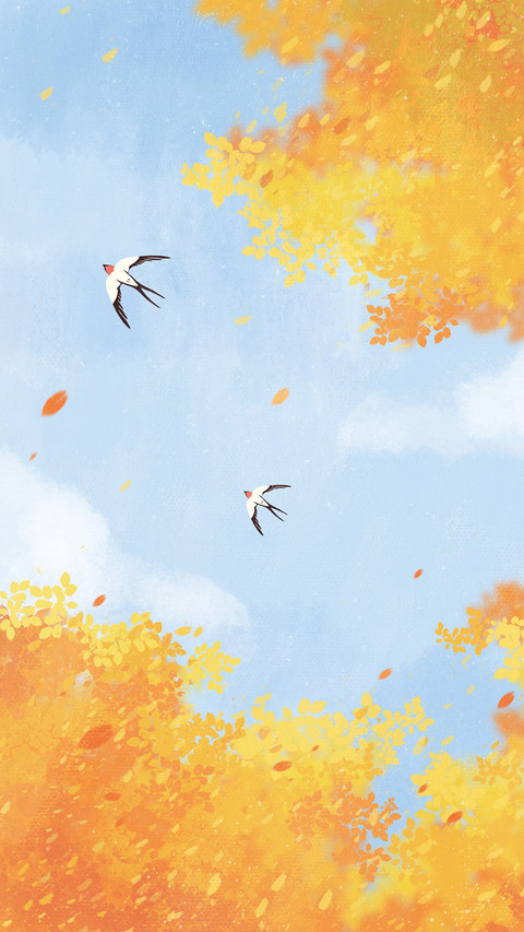 Daily signature  september 23rd preview