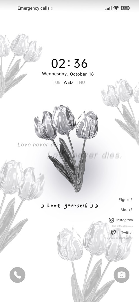 Romantic Landing preview