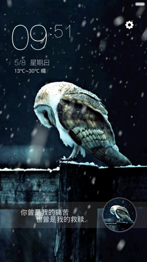 猫头鹰【自定义头像,文字,下雨特效】 preview