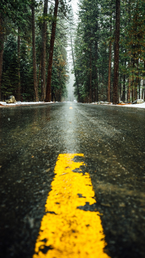 Monsoon Moods (14) preview
