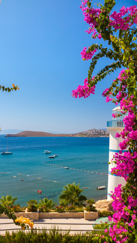Romantic Turkey preview