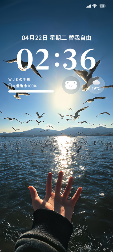 海风替我自由ins preview