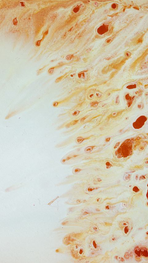 Artistic acrylic brush texture decorative painting preview