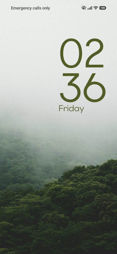 Foggy Woodland preview