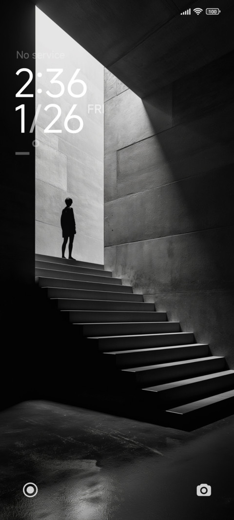 Gray ladder preview
